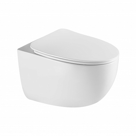 Подвесной унитаз безободковый Terminus Енисей Монолит 560х390 белый Благовещенск - фото 2